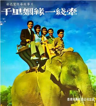 千里姻缘一线牵在线观看和下载