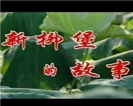 新柳堡的故事在线观看和下载
