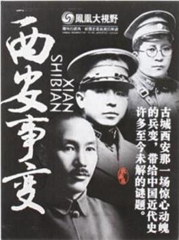 凤凰大视野 西安事变在线观看和下载