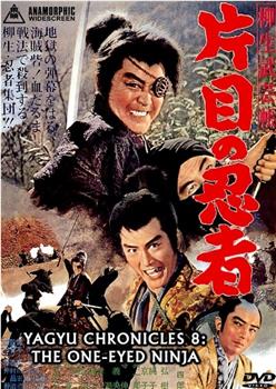 柳生武艺帐 独眼忍者在线观看和下载