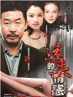 女人的陷阱在线观看