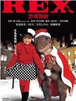 恐龙物语