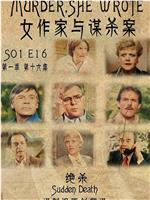 女作家与谋杀案：绝杀