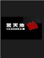 惊天地动：直击汶川大地震观看
