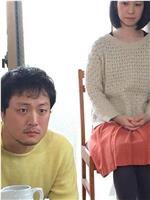 鳥观看