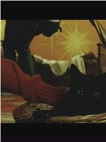 Who the Hell's Bonnie & Clyde在线观看和下载