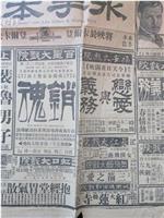 女侠飞燕