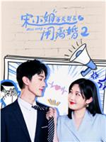 宋小姐每天都在闹离婚2