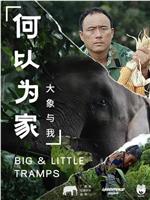 何以为家：大象与我在线观看