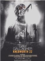 Liam Gallagher: Knebworth 22观看