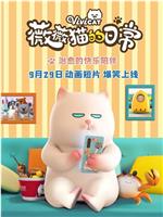 薇薇猫的日常观看
