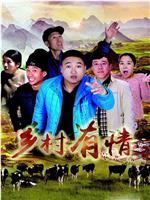 乡村有情