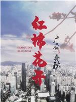 广府春秋·红棉花开在线观看和下载