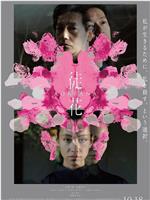 谎花