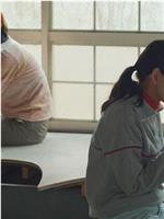 记忆的窗