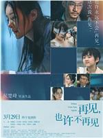 再见，也许不再见在线观看和下载
