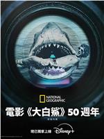 《大白鲨》五十年：决定性幕后故事
