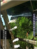 THE世界遗产 纪伊灵场与参诣道