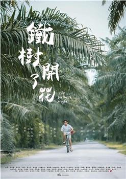铁树开了花在线观看和下载