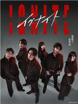 点燃：法之无法者在线观看和下载