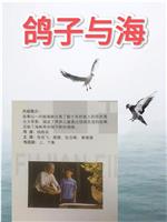 鸽子与海