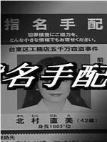 通缉令3