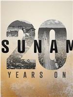 Tsunami: 20 Years On