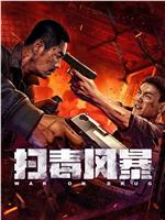 扫毒风暴